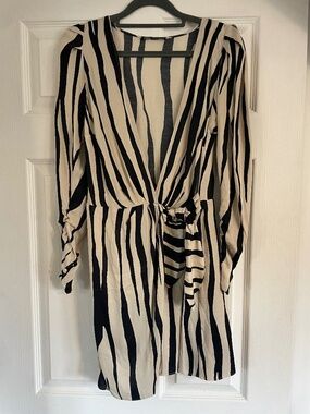 Zara Animal Print Wrap Mini Dress